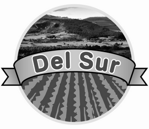 DEL SUR