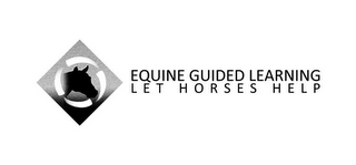 EQUINE GUIDED LEARNING LET HORSES HELP