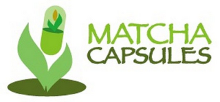 MATCHA CAPSULES