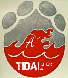 A TIDAL EFFECS