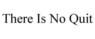 THERE IS NO QUIT