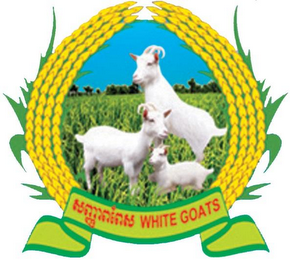 WHITE GOATS