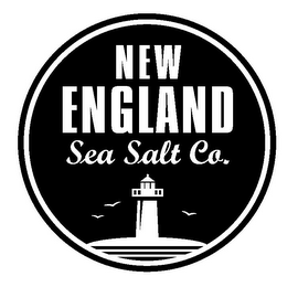 NEW ENGLAND SEA SALT CO.