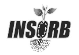 INSORB