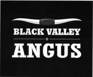 BLACK VALLEY ANGUS