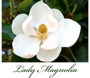 LADY MAGNOLIA