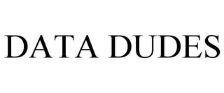 DATA DUDES