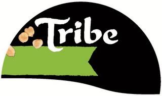 TRIBE