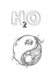 H2O