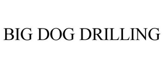 BIG DOG DRILLING