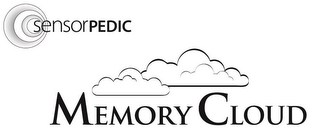 SENSORPEDIC MEMORY CLOUD