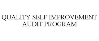 QUALITY SELF IMPROVEMENT AUDIT PROGRAM