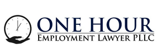 ONE HOUR EMPLOYMENT LAWYER PLLC
