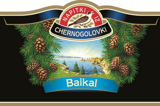 NAPITKI IZ CHERNOGOLOVKI BAIKAL