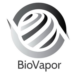 BIOVAPOR