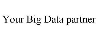 YOUR BIG DATA PARTNER