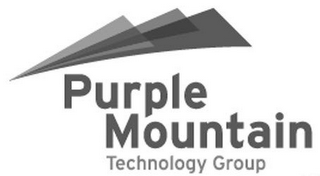 PURPLE MOUNTAIN TECHNOLOGY GROUP