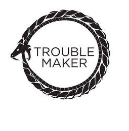 TROUBLE MAKER