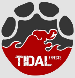 TIDAL EFFECTS