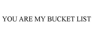 YOU ARE MY BUCKET LIST