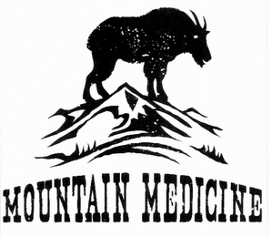 MOUNTAIN MEDICINE