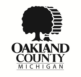 OAKLAND COUNTY MICHIGAN