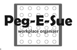 PEG-E-SUE WORKPLACE ORGANIZER