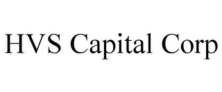 HVS CAPITAL CORP