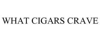 WHAT CIGARS CRAVE