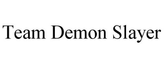 TEAM DEMON SLAYER