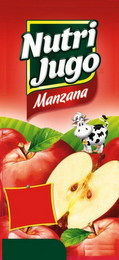 NUTRI JUGO MANZANA PILI