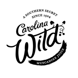 A SOUTHERN SECRET SINCE 1524 CAROLINA WILD MUSCADINE JUICE