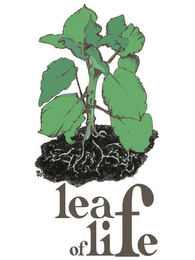 LEAF OF LIFE