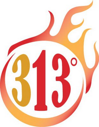 313°