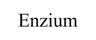 ENZIUM