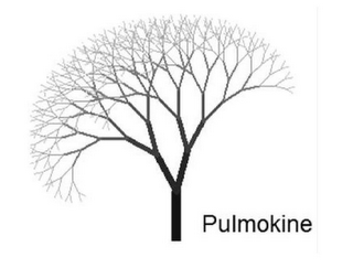 PULMOKINE