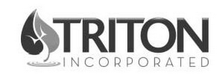 TRITON INCORPORATED