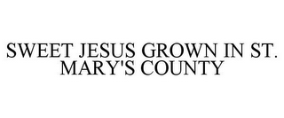 SWEET JESUS GROWN IN ST. MARY'S COUNTY