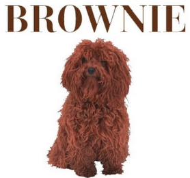 BROWNIE