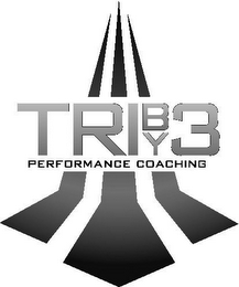 TRIBY3 PERFORMANCE COACHING