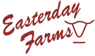 EASTERDAY FARMS STEER HEAD LOGO WITH BAR UNDER STEER HEAD