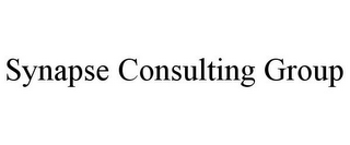 SYNAPSE CONSULTING GROUP