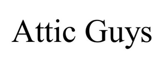 ATTIC GUYS