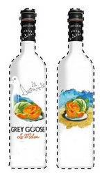 GREY GOOSE LE MELON