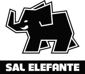 SAL ELEFANTE