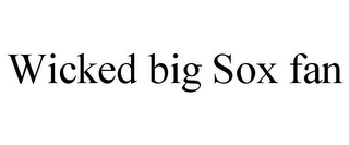 WICKED BIG SOX FAN