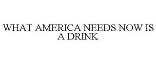 WHAT AMERICA NEEDS NOW IS A DRINK