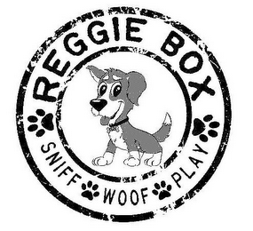 REGGIE BOX SNIFF WOOF PLAY