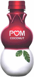 POM COCONUT