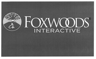 FOXWOODS INTERACTIVE